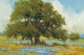 Bluebonnets