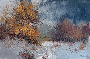 A Walk In The Woods