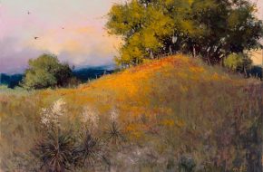 Evening Splendor